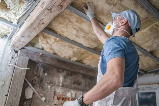 Best Specialized Insulation Services in El Portal, FL