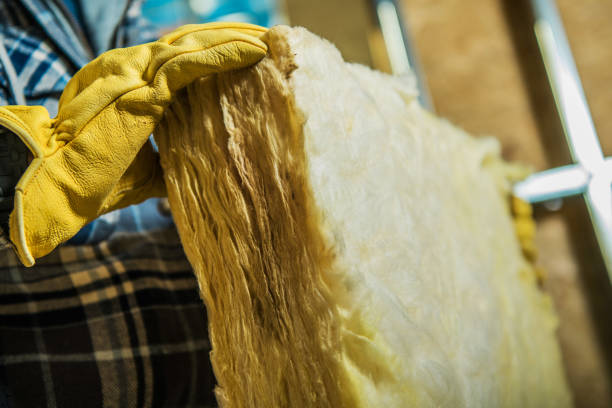 Best Cellulose Insulation in El Portal, FL